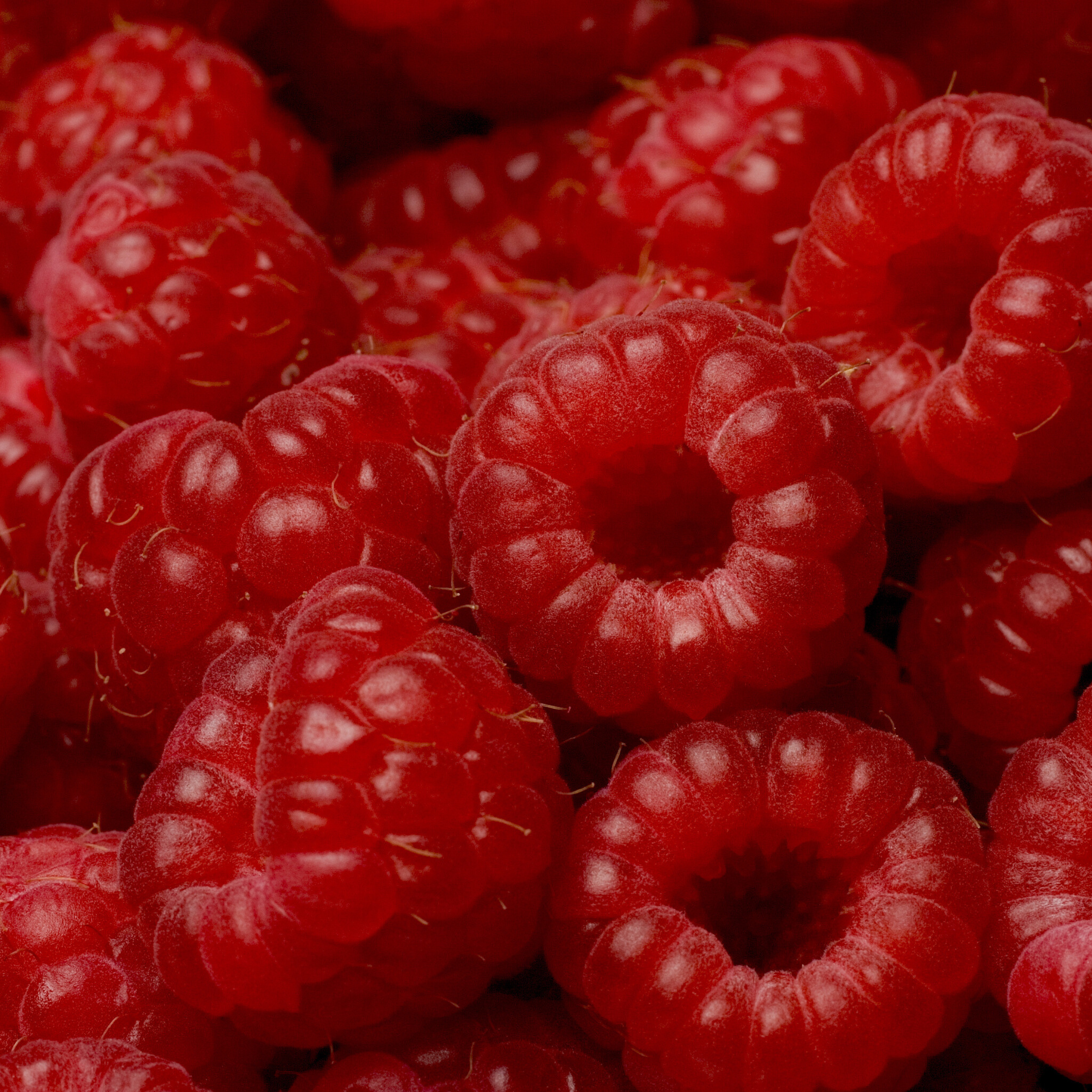 raspberries that help balance hormones postpartum