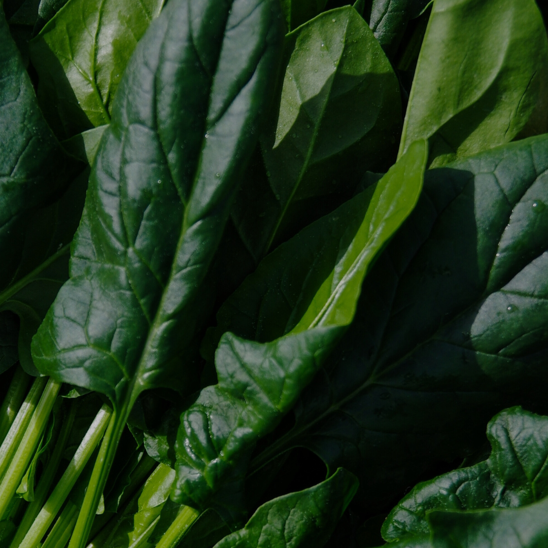 Why More Isn’t Always Better: The Case for Simplified Nutrition