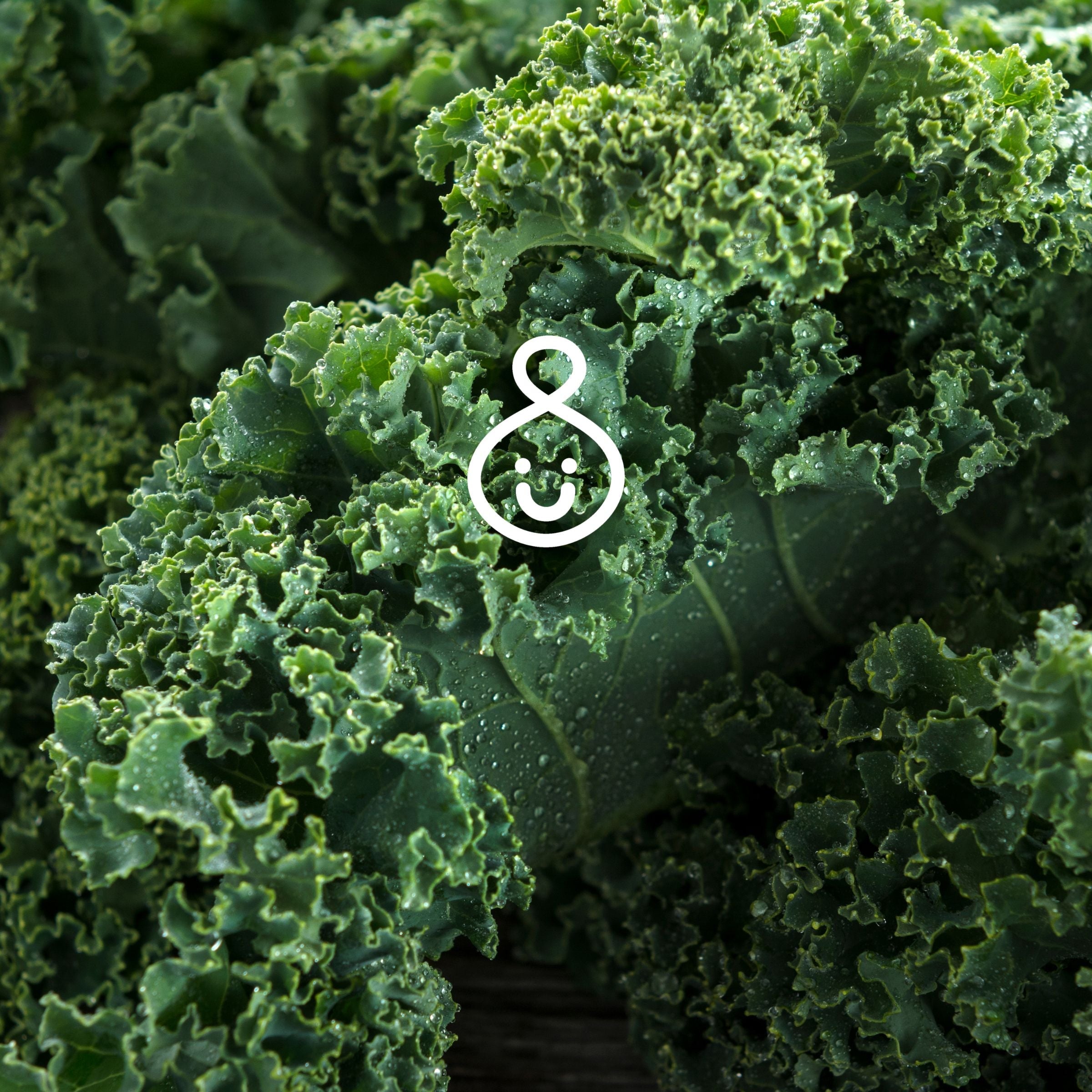 Dark leafy greens which can help overcome postnatal depletion